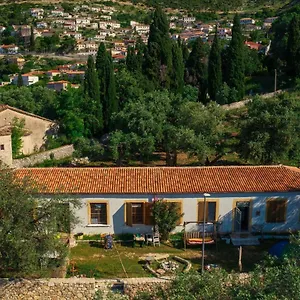 Shkolla & Vuno